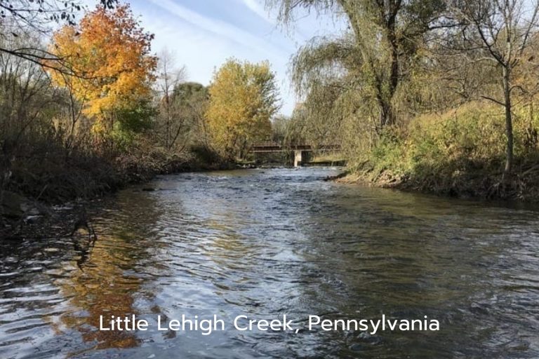 Little Lehigh Creek in Allentown, PA.